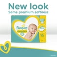 thumbnail image 5 of Pampers Swaddlers Diapers Size 5 88 Count, 5 of 16