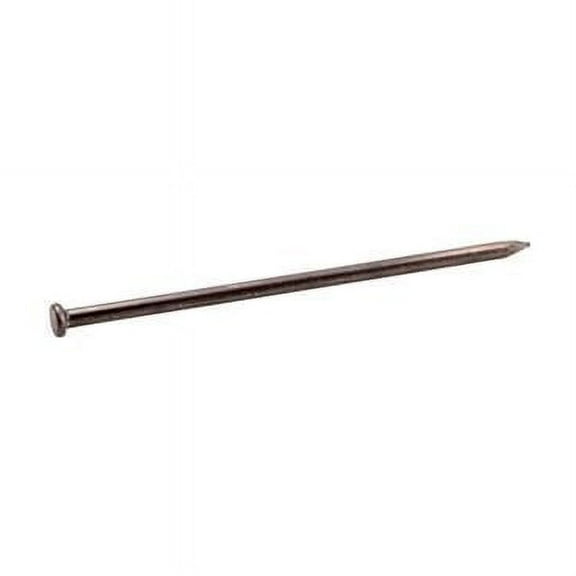 10 in. 5 lbs No. 0 Spike Bright Steel Flat Nail