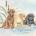 thumbnail image 2 of Coulter, Cynthia 12x12 White Modern Wood Framed Museum Art Print Titled - Woodland Dogs III, 2 of 4