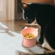 thumbnail image 2 of Comedero antideslizante para mascotas con inclinación de 15° | Diseño de comedero lento antivuelco para perros y gatos | Comedero y bebedero ergonómico elevado | Material de policarbonato extraíbl, 2 of 3