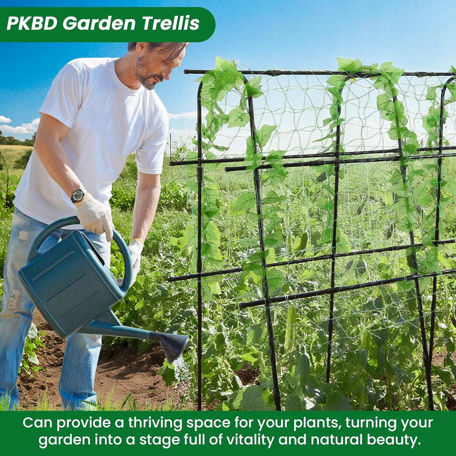 Tall Garden Arch Trellis for Climbing Plants Outdoor, 5 ft Tall Polyethylene-Coated Stainless Steel Garden Arch for Climbing Vine Vegetable/Fruit/Flower, Cucumber Trellis for Raised Bed, Black