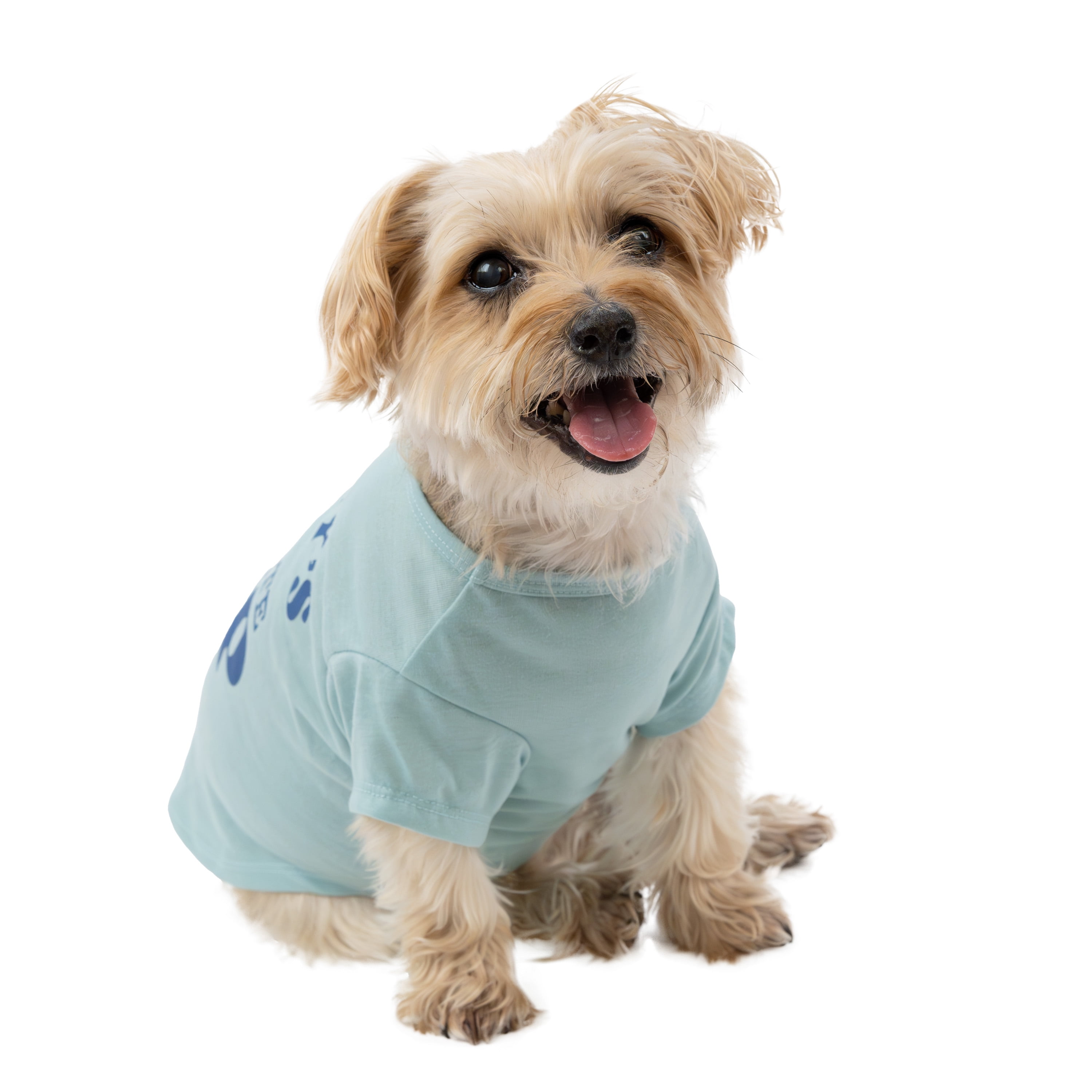 Vibrant Life Mommy's Favorite Pup Dog T-Shirt, Blue, Small
