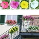 thumbnail image 4 of QIFEI 1 paquete de flores artificiales para exteriores, resistentes a los rayos UV, simulación de gloria de la mañana, petunia, decoración para bodas, hogar, rosa roja, 4 of 8