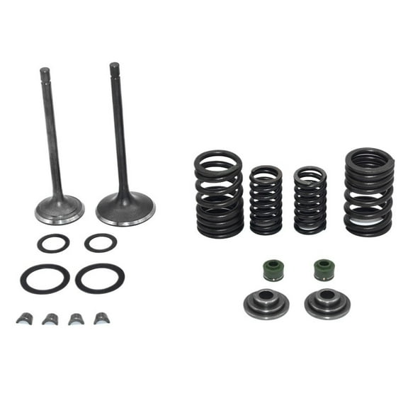 Applies to Intake Exhaust Valves Rebuild Kit for Zongshen CG250 250cc ATV Dirt Bike Go Kart