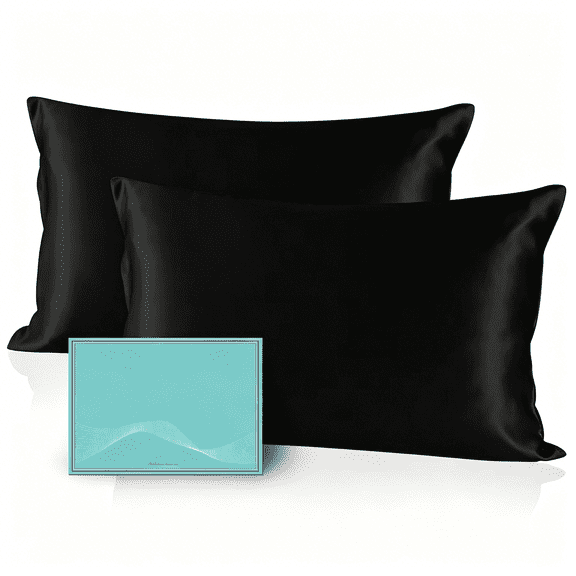 AUQ Mulberry Silk Pillow Cases Set of 2, Both Sides Real Silk Pillowcase for Hair and Skin Prevent Acne Pillowcase Organic Silk Pillowcase 2 Pack with Hidden Zipper, Standard (20"×26")