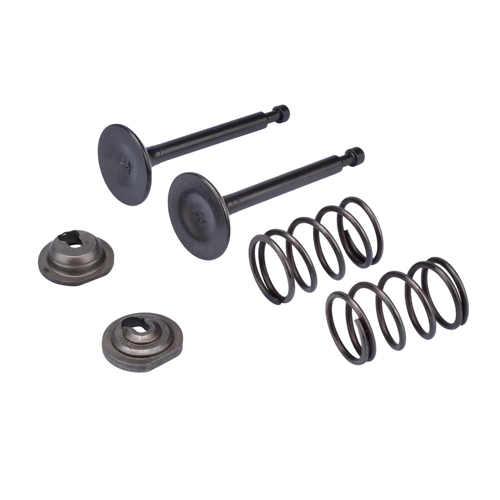 Intake Inlet Exhaust Valve Spring Collet Retainer Set for Honda GX160