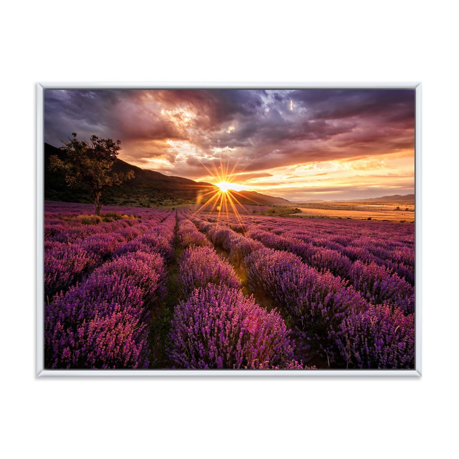 Designart Sunrise & Dramatic Clouds Over Lavender Field IV FLOAT FRAME WALL ART