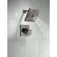 thumbnail image 6 of Delta T17243-SS-PR Trillian Monitor 17 Series Dual Function Pressure Balanced Shower Only, 6 of 7