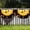 C, variant on Half Halloween Garden Flag Set Of 2 With Metal Loops For Porch Fence Yard Outdoor Decor Multicolor 45x90 cm
