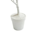 thumbnail image 3 of Tripar 31 in. Twig Tree, Cream White, 3 of 5