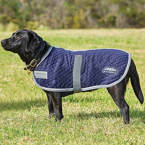 WeatherBeeta Thermic Dog Coat 22 Navy/Gray/White