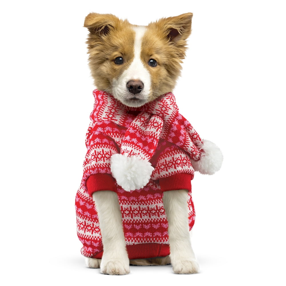 walmart dog sweaters in store