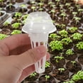 thumbnail image 4 of STOBOK Indoor Hydroponic Plant Growing Kit, Clear Domes, Userfriendly and Versatile, 30Sets, 4 of 8