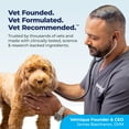 Vetnique Labs Dermabliss Medicated Chlorhexidine Cleansing Pet Shampoo for Skin Problems in Dogs