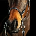 thumbnail image 2 of HORZE Genuine Leather Cross-Under Bitless Bridle | Includes Web Reins with Hand Stops, 2 of 7