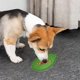 thumbnail image 4 of Pisexur Suministros para mascotas Dog Lick Mat Slow Feeder Silicone Pet Feeding Mat With Suction Cups Anxiety Relief Training Pad For Dogs Cats Bathing Grooming perros, gperros, gatos y animales, 4 of 6