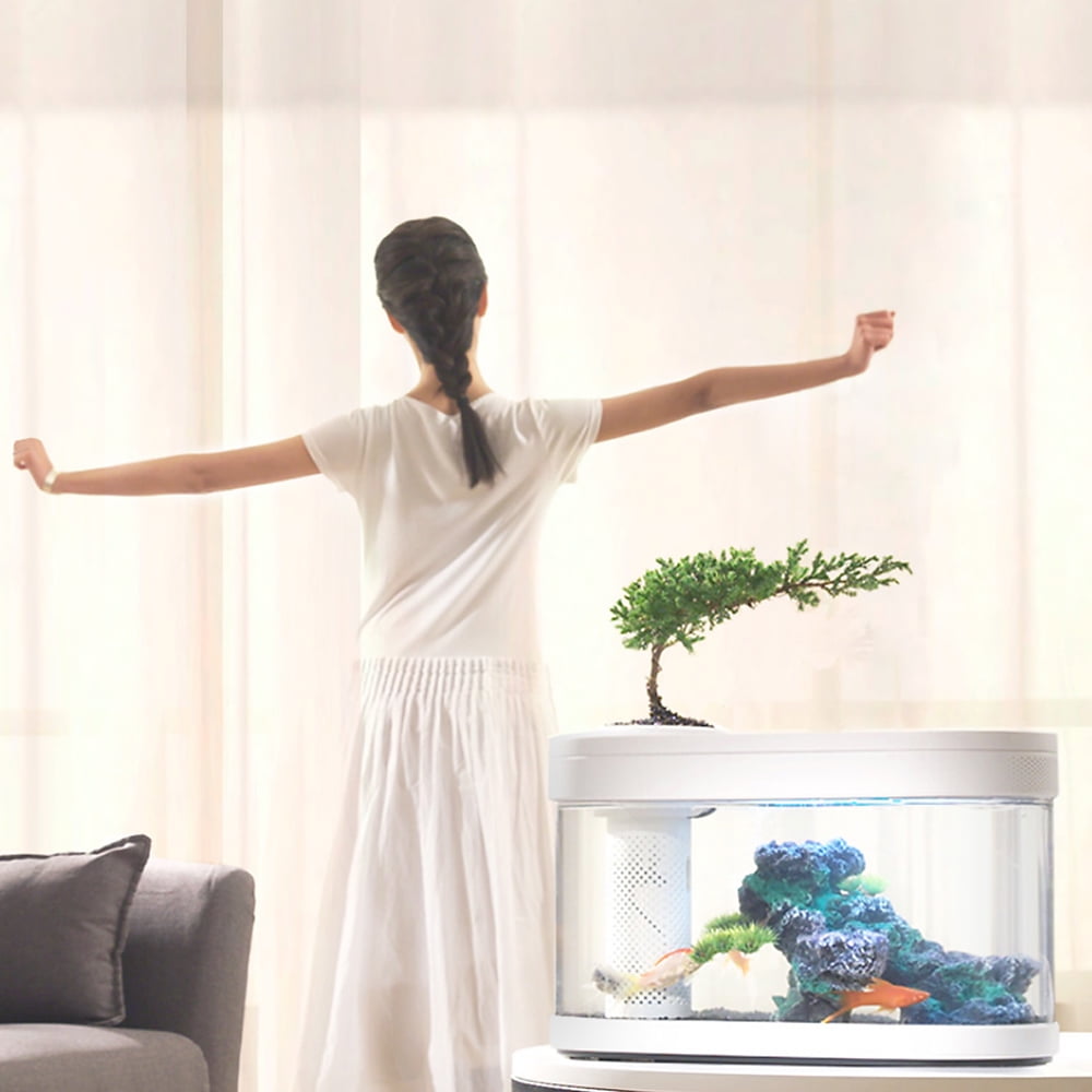 Desgeo Ecological Goldfish Tank Living Room Home Desktop Small Symbiosis System Flower Muzy Lazy Aquarium Led Colorful Fish Box With Oxygen Filter Pump Set Walmart Com Walmart Com