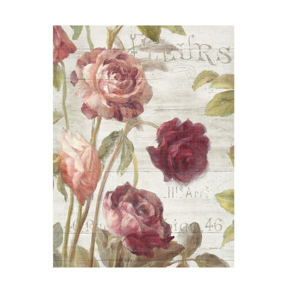 Trademark Fine Art 'French Roses II' Canvas Art by Danhui Nai