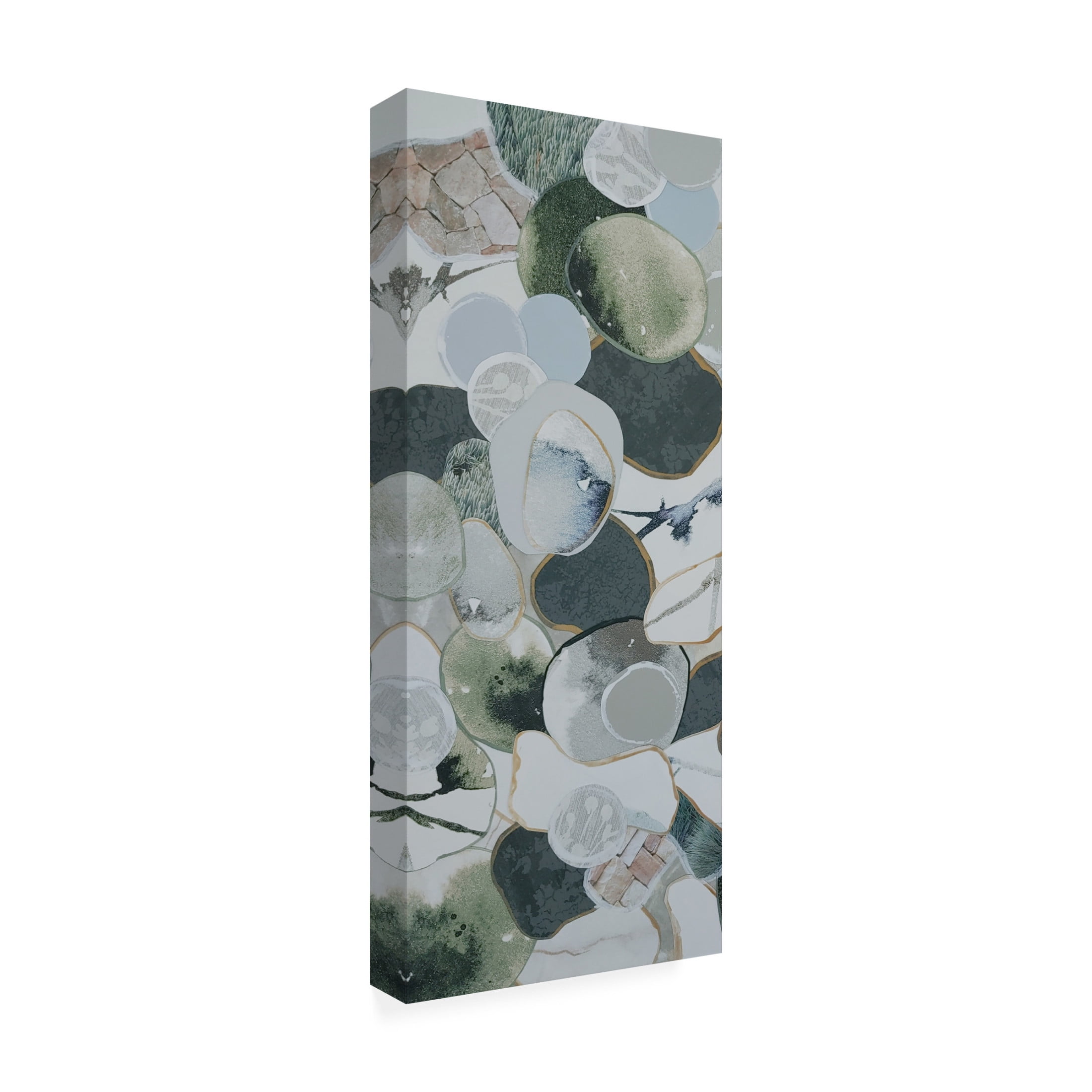 Trademark Fine Art Coco Good  Plums and Avocados II Canvas Wall Art