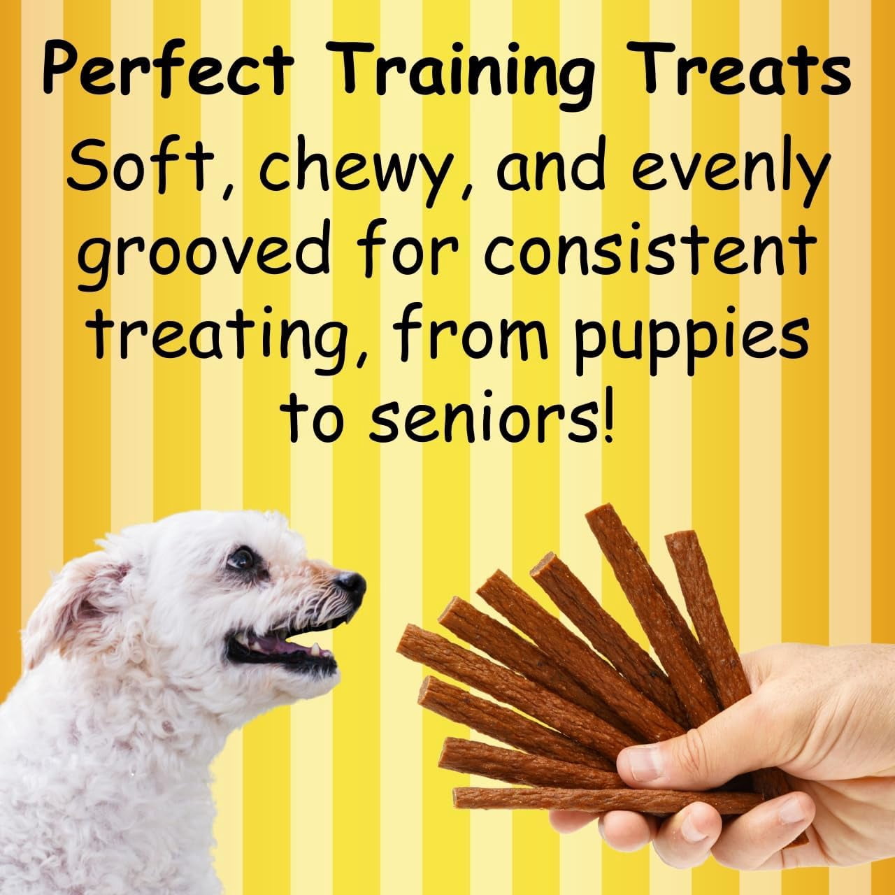 Fetch Fries Dog Treats - Chicken & Sweet Potato Recipe, Made in USA, Grain Free, Soft and Chewy (16 oz)