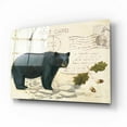 thumbnail image 2 of Epic Art 'Northern Wild Bear' by James Wiens, Acrylic Glass Wall Art, 16"x12", 2 of 8