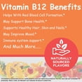 thumbnail image 5 of WellYeah Vitamin B12 1000mcg Gummies - for Energy, Mood, Metabolism and Immune System Support - Vegan Friendly and Gluten-Free, GMO Free and Doctor Recommended - 60 Gummies, 5 of 8