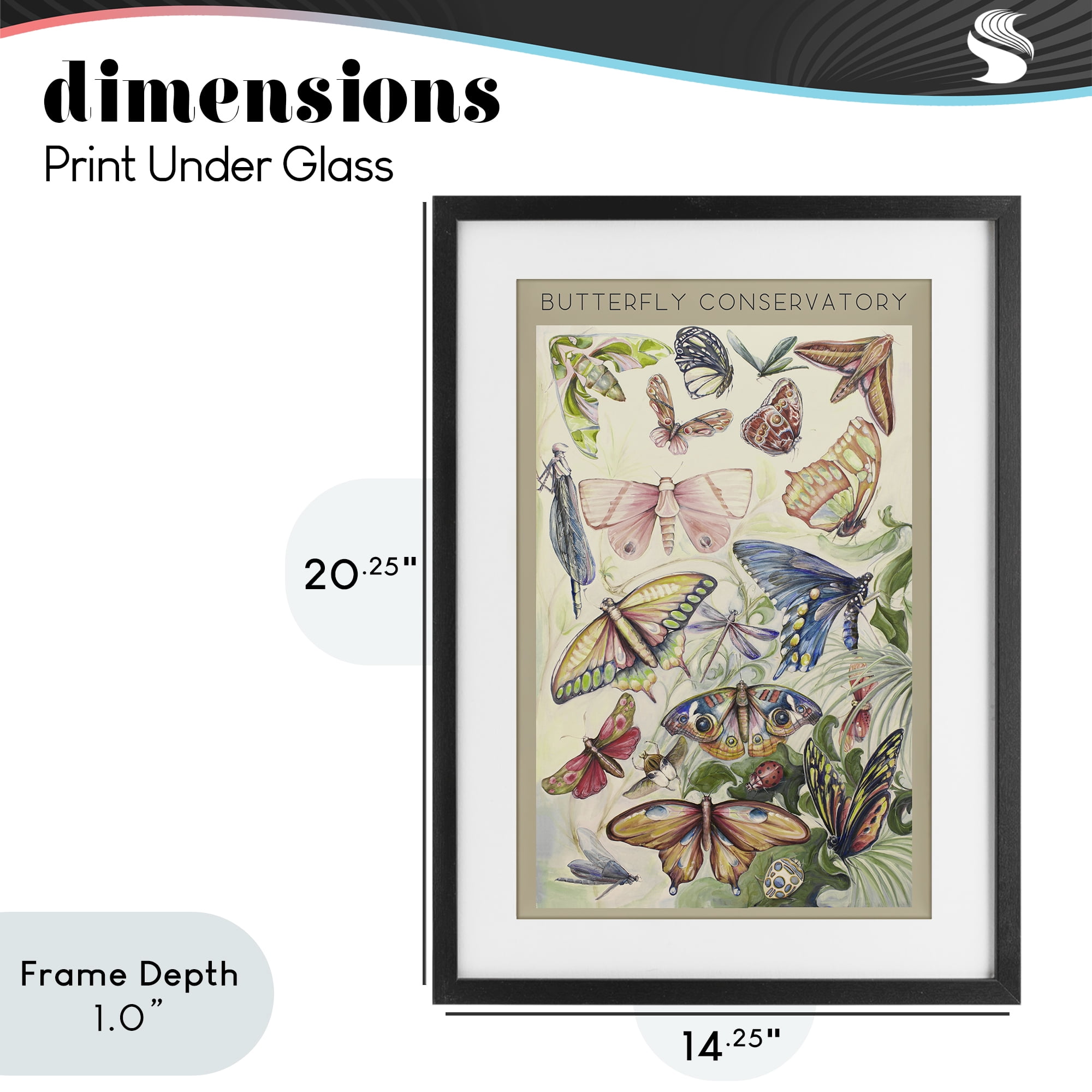 Stupell Industries Butterfly Conservatory Insects Black Framed Print Under Glass, design by Diannart