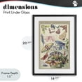 thumbnail image 4 of Stupell Industries Eclectic Butterfly Conservatory Insects Black Framed Print Under Glass, 14 x 20, by Diannart, 4 of 8