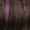 Dark Violet, variant on Laude & Co 13x4 HD Glueless Free Parting Human Hair Blend Wig - Stella