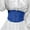 Blue, variant on Womens Wide Corset Elastic Waist Belt Stain Slik Solid Color Corset Belts for Women Vintage Belt for Dresses