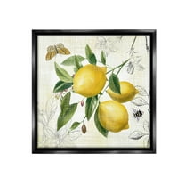 Stupell Industries Vintage Lemon Blossoms Food & Beverage Painting Black Floater Framed Canvas Art Print Wall Art, 18 x 18