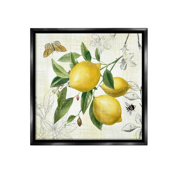 Stupell Industries Vintage Lemon Blossoms Food & Beverage Painting Black Floater Framed Canvas Art Print Wall Art, 18 x 18