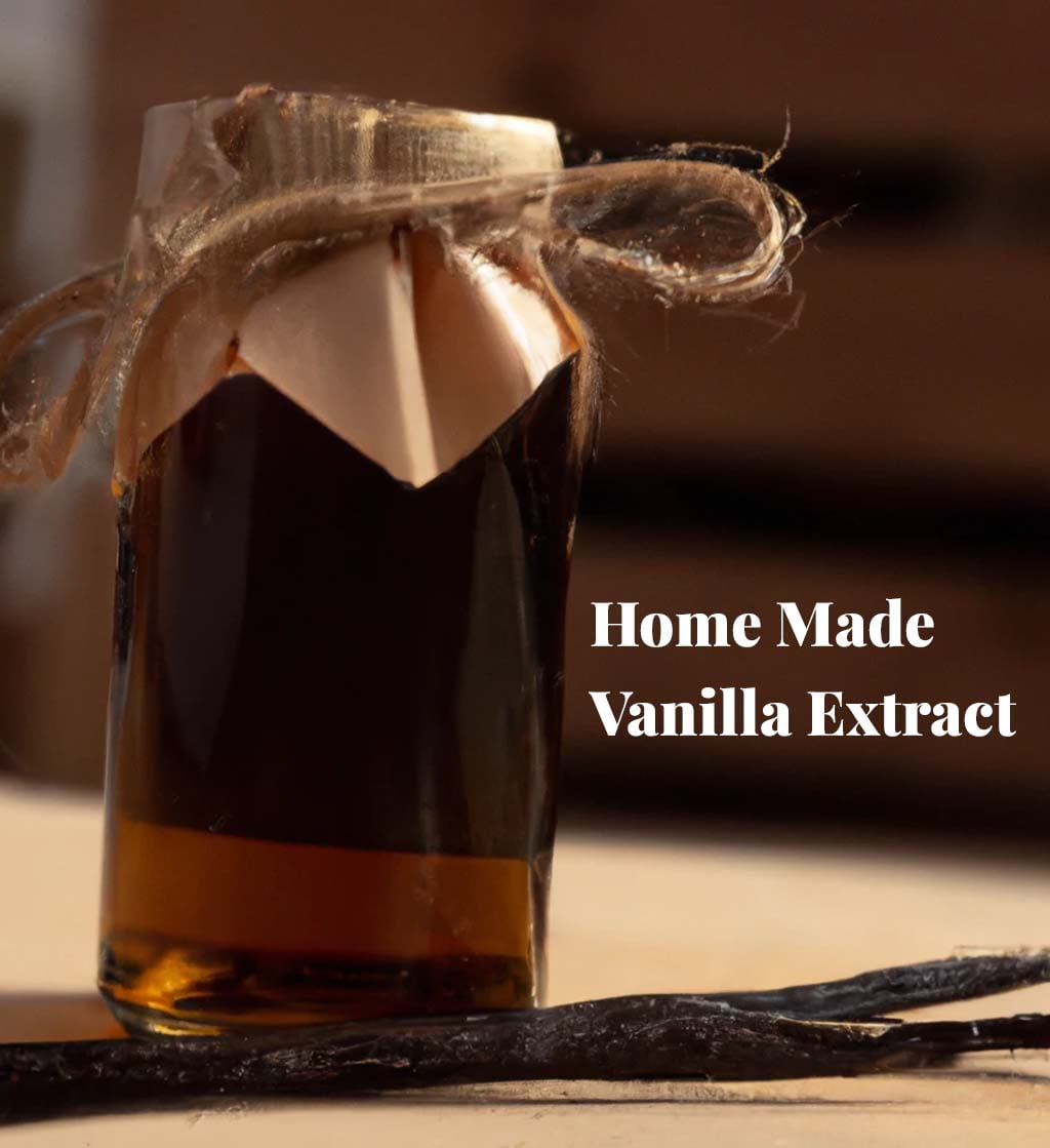 1 lb Vanilla Beans Grade a+ Pods, Bulk Vanilla Bean for Making Extract & Baking, Non-GMO - Akshit