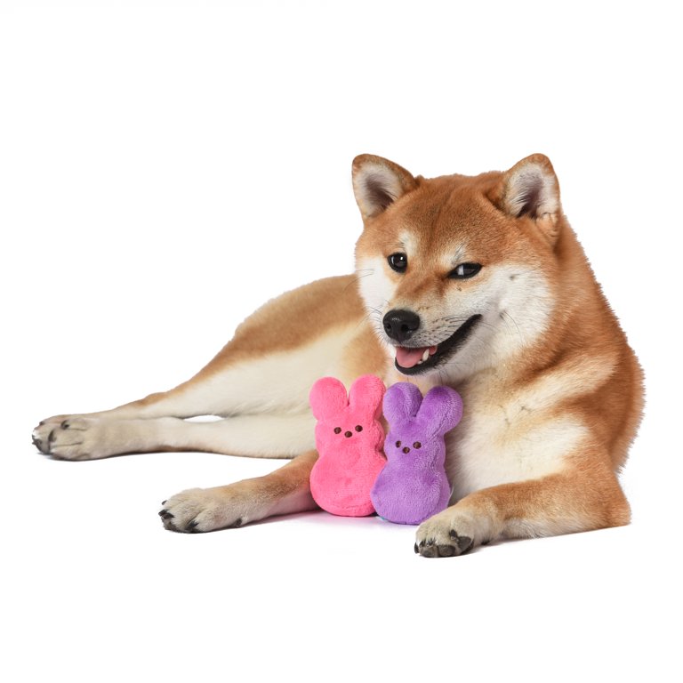 Peeps Mini Plush Bunny Dog Toy, 2 Pack (Pink & Purple)