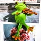 thumbnail image 3 of Adornos colgantes de tortuga con animales musicales, maceteros de resina para jardín, bonitos artículos decorativos, decoración para exteriores, bodas, regalos para festivales, resina, 3 of 9