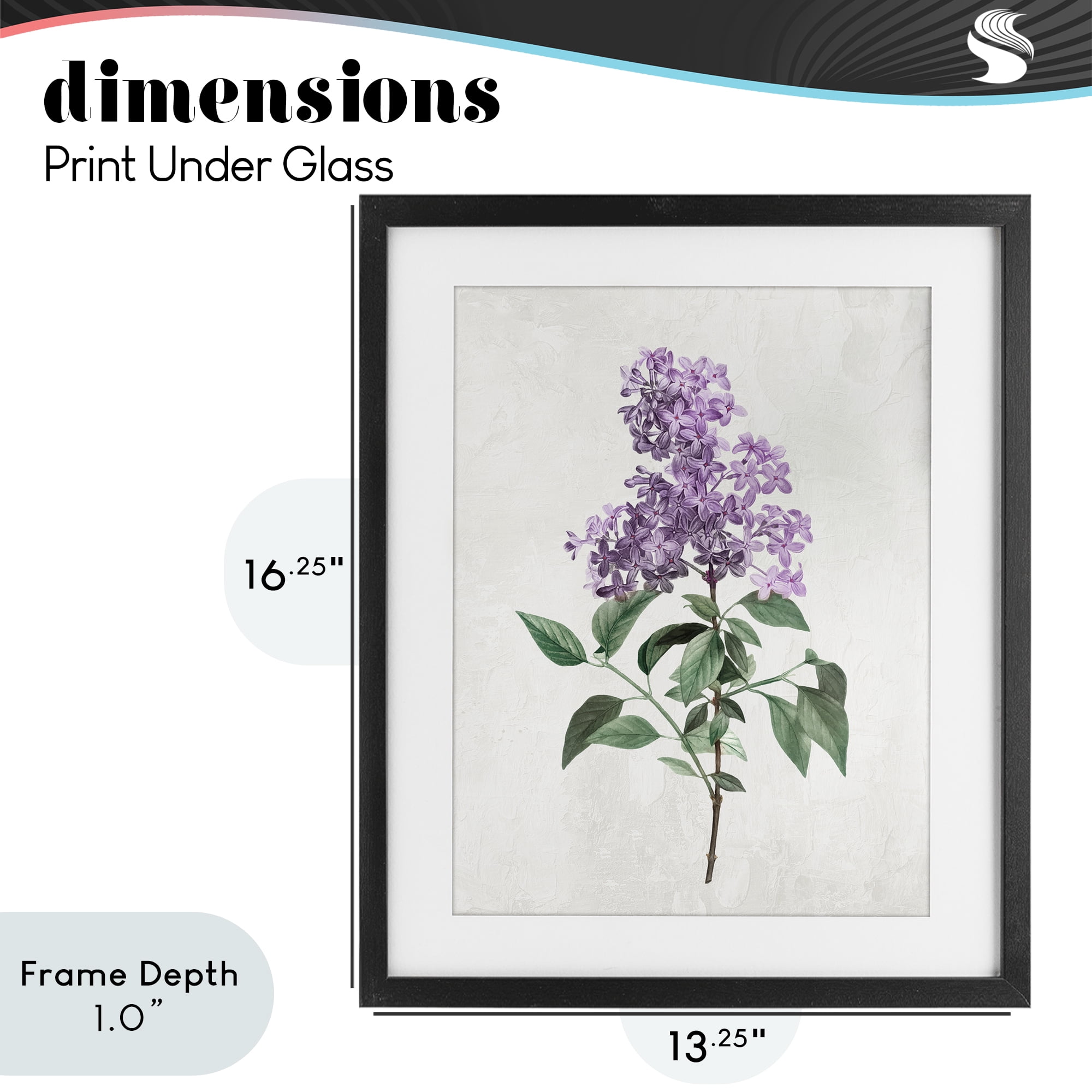 Stupell Industries Lilac Herb Blossoms Black Framed Print Under Glass, design by Kim Allen