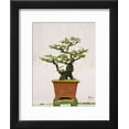 thumbnail image 2 of CloseUp of a Bonzai Tree at Thien Mu Pagoda, Hue, Vietnam, Indochina, Southeast Asia, Asia, Botanical Framed Art Print Wall Art by Matthew WilliamsEllis Sold by Art.Com, 2 of 5
