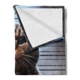 thumbnail image 2 of Ambesonne Cat Fleece Throw Blanket Whimsical Bad Kitty Mug Shot 50"x60" Umber and Pale Blue Grey, 2 of 5