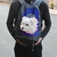thumbnail image 3 of Cómoda mochila de transporte, mochila frontal para cachorros con diseño de cabeza transpirable y hombro acolchado para senderismo, viajes al aire libre MFZFUKR 2034805-2, 3 of 8