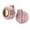 Pink, variant on A Historical And Descriptive Account Of All Saints' Church In Newca Thomas Sopwith (Paperback)