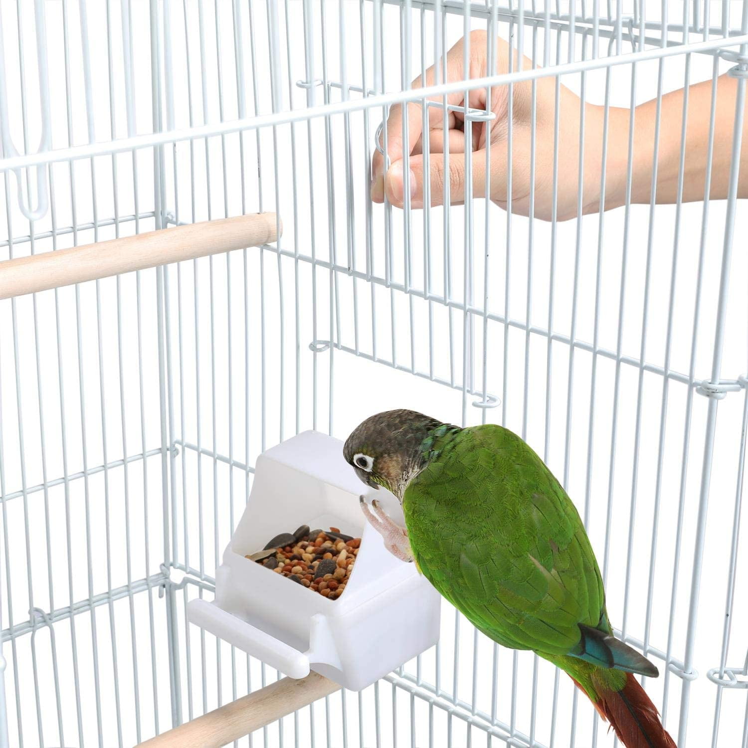 JessieMal 41'' Open Top Medium Size Quaker Parrot Bird Cage Cockatiel Indian Ring Neck Sun Parakeet Green Cheek Conures Lovebird Budgie Canary Finch Parrotlet Bird Cage, White