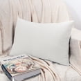 thumbnail image 3 of NTBAY 2 Pack Velvet Decorative Throw Pillow Cover with Hidden Zipper, 12"x20", White, 3 of 5