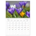 thumbnail image 6 of Garden flowers (Monthly Wall Calendar 2026 11.7 x 16.5 (open)), CALVENDO 14 Month Calendar, 6 of 9