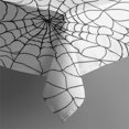 thumbnail image 4 of Halloween Spider Web Pattern Rectangle Tablecloth 60"x120",Waterproof Polyester Rectangle Table Cloth, Wipeable Spillproof Polyester Tablecloth for Dining, Camping, Indoor and Outdoor, 4 of 6