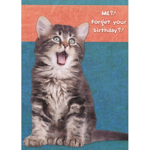 Designer Greetings Shocked Kitten with Open Mouth Funny : Humorous Cat Birthday Card