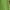 Green Valley, variant on Time and Tru Women's Cotton Off the Shoulder Midi Dress, Sizes XS-XXXL