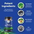thumbnail image 3 of Saw Palmetto for Men with Beta Sitosterol - Saw Palmetto Extract Prostate Health Supplement for Men for Bladder Control and Prostate Support - Thickening Hair Supplement for Hair Growth for Men, 3 of 9