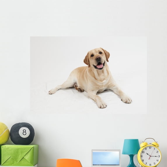 Retriever Labrador Dog Wall Decal by Wallmonkeys Peel and Stick Graphic (48 in W x 32 in H) WM225598