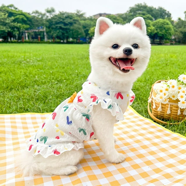Mom's Best Vestido de princesa para perros y gatos pequeños, vestidos florales de verano, 11.8 x 7.8 pulgadas, ropa para mascotas para primavera, verano y otoño.