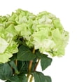 thumbnail image 5 of 32" Plastic Floral Tall Hydrangea Artificial Flower Stem, by DecMode (8 Count), 5 of 9